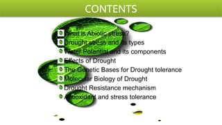Molecular Biology and Genetic Mechanisms of Plant Drought Tolerance | PPTX