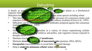 Molecular Biology and Genetic Mechanisms of Plant Drought Tolerance | PPTX