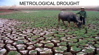 Molecular Biology and Genetic Mechanisms of Plant Drought Tolerance | PPTX