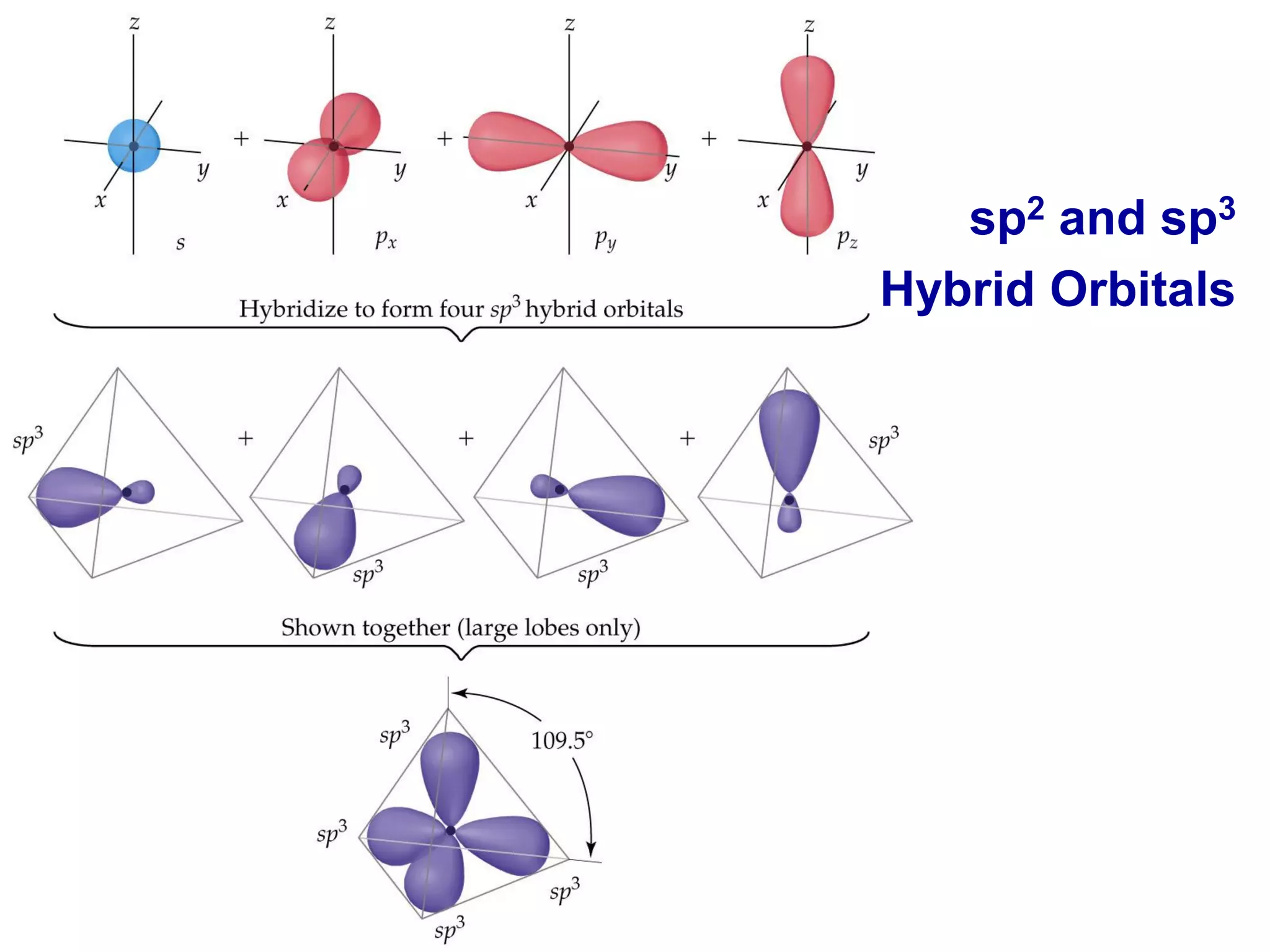 sp2 and sp3
Hybrid Orbitals
 