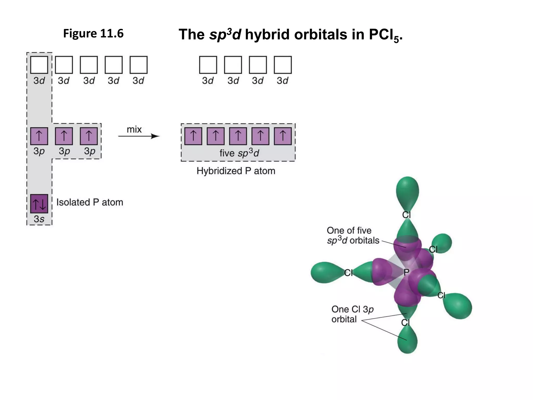 Figure 11.6 The sp3d hybrid orbitals in PCl5.
 