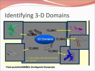 Identifying 3-D Domains Thank you to the NCBI’s Dr. Eric Sayers for the example. 
