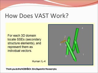 How Does VAST Work? Thank you to the NCBI’s Dr. Eric Sayers for the example. 