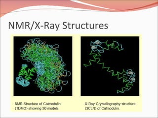 NMR/X-Ray Structures 