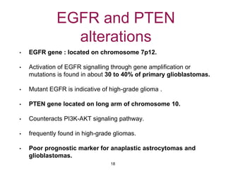 EGFR and PTEN
alterations
• EGFR gene : located on chromosome 7p12.
• Activation of EGFR signalling through gene amplification or
mutations is found in about 30 to 40% of primary glioblastomas.
• Mutant EGFR is indicative of high-grade glioma .
• PTEN gene located on long arm of chromosome 10.
• Counteracts PI3K-AKT signaling pathway.
• frequently found in high-grade gliomas.
• Poor prognostic marker for anaplastic astrocytomas and
glioblastomas.
18
 