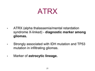 ATRX
• ATRX (alpha thalassemia/mental retardation
syndrome X-linked) - diagnostic marker among
gliomas.
• Strongly associated with IDH mutation and TP53
mutation in infiltrating gliomas.
• Marker of astrocytic lineage.
21
 