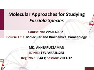 Molecular Approaches for Studying
Fasciola Species
Course No: VPAR-609 2T
Course Title: Molecular and Biochemical Parasitology
MD. AKHTARUZZAMAN
ID No.: 17VPARAJJ12M
Reg. No.: 38443; Session: 2011-12
 