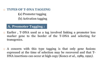 Molecular tagging | PPTX