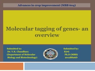 Molecular tagging of genes- an
overview
Submitted to: Submitted by:
Dr. V.K. Chaudhary Kirti
(Department of Molecular Ph.D (MBB)
Biology and Biotechnology) 2012BS26D
Advances in crop improvement (MBB 604)
 