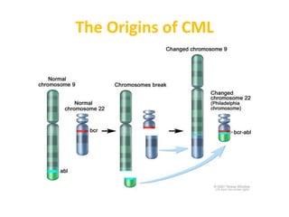 The Origins of CML
 