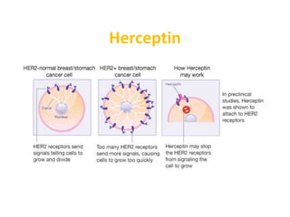 Herceptin
 