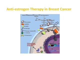 Anti-estrogen Therapy in Breast Cancer
 