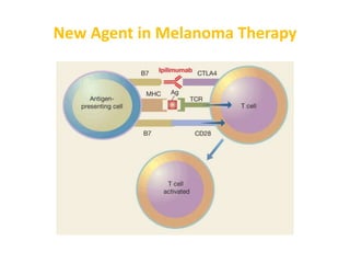 New Agent in Melanoma Therapy
 