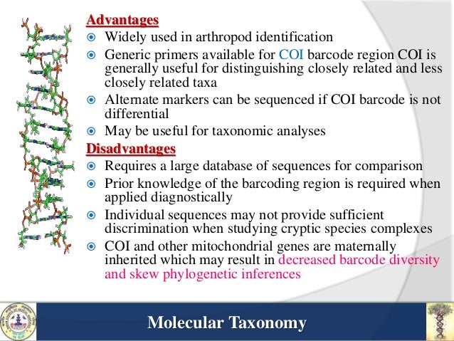 what is the significance of molecular taxonomy