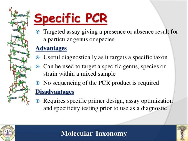 what does molecular taxonomy mean what does molecular taxonomy mean