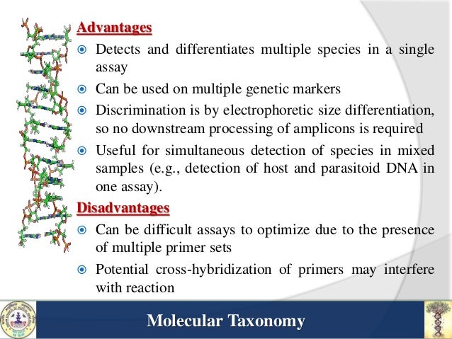 what is molecular taxonomy and what are the techniques used in it