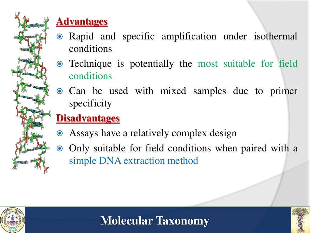 Molecular taxonomy