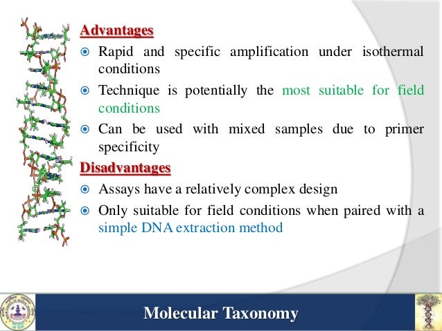 what is molecular taxonomy and what are the techniques used in it