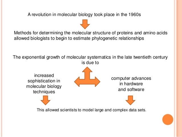 what is the significance of molecular taxonomy
