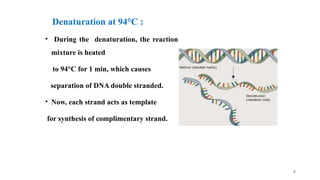 molecular techniqes in aquaculture fish and shellfish.pptx