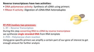 One Step Reverse Transcriptase Molecular Technique.pdf MLT students Ind | PDF
