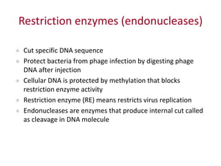 Restriction enzymes (endonucleases)
 Cut specific DNA sequence
 Protect bacteria from phage infection by digesting phage
DNA after injection
 Cellular DNA is protected by methylation that blocks
restriction enzyme activity
 Restriction enzyme (RE) means restricts virus replication
 Endonucleases are enzymes that produce internal cut called
as cleavage in DNA molecule
 