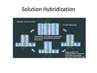 Solution Hybridization
 