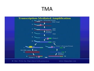 TMA
 