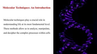 Molecular techniques in recombinant dna technology | PDF