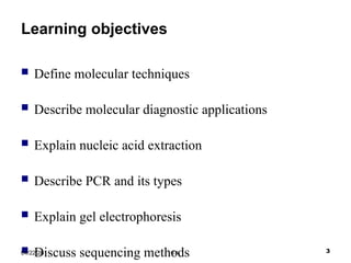 Comprehensive Overview of Molecular Techniques in Genetic Engineering ...