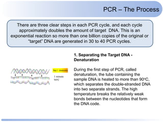 Molecular techniques for pathology research - MDX .pdf