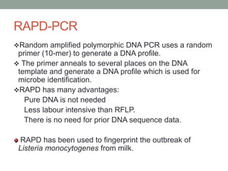 RAPD-PCR
Random amplified polymorphic DNA PCR uses a random
primer (10-mer) to generate a DNA profile.
 The primer anneals to several places on the DNA
template and generate a DNA profile which is used for
microbe identification.
RAPD has many advantages:
Pure DNA is not needed
Less labour intensive than RFLP.
There is no need for prior DNA sequence data.
RAPD has been used to fingerprint the outbreak of
Listeria monocytogenes from milk.
 