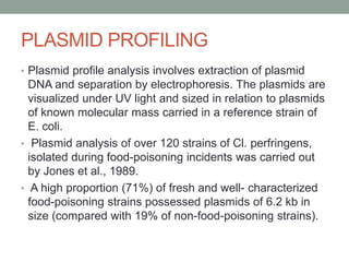 PLASMID PROFILING
• Plasmid profile analysis involves extraction of plasmid
DNA and separation by electrophoresis. The plasmids are
visualized under UV light and sized in relation to plasmids
of known molecular mass carried in a reference strain of
E. coli.
• Plasmid analysis of over 120 strains of Cl. perfringens,
isolated during food-poisoning incidents was carried out
by Jones et al., 1989.
• A high proportion (71%) of fresh and well- characterized
food-poisoning strains possessed plasmids of 6.2 kb in
size (compared with 19% of non-food-poisoning strains).
 