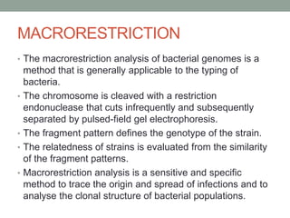 MACRORESTRICTION
• The macrorestriction analysis of bacterial genomes is a
method that is generally applicable to the typing of
bacteria.
• The chromosome is cleaved with a restriction
endonuclease that cuts infrequently and subsequently
separated by pulsed-field gel electrophoresis.
• The fragment pattern defines the genotype of the strain.
• The relatedness of strains is evaluated from the similarity
of the fragment patterns.
• Macrorestriction analysis is a sensitive and specific
method to trace the origin and spread of infections and to
analyse the clonal structure of bacterial populations.
 