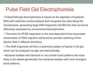 Pulse Field Gel Electrophoresis
• Pulsed-field gel electrophoresis is based on the digestion of bacterial
DNA with restriction endonucleases that recognize few sites along the
chromosome, generating large DNA fragments (30-800 Kb) that cannot be
effectively separated by conventional electrophoresis.
• The basis for PFGE separation is the size-dependent time-associated
reorientation of DNA migration achieved by periodic switching of the
electric field in different directions.
• The DNA fragments will form a distinctive pattern of bands in the gel,
which can be analyzed visually and electronically.
• Bacterial isolates with identical or very similar band patterns are more
likely to be related genetically than bacterial isolates with more divergent
band patterns.
 