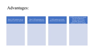 Advantages:
Most CAPS markers are co-
dominant and locus-specific.
Most CAPS genotypes are
easily scored and interpreted.
CAPS markers are easily
shared between laboratories.
CAPS assay does not require
the use of radioactive
isotopes, and it is more
amenable, therefore, to
analyses in clinical settings.
 