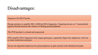 Disadvantages:
Sequence the RFLP probe.
Design primers to amplify 800–2,000-bp DNA fragments. Targeting introns or 3' untranslated
regions should increase the chance of finding polymorphisms
The PCR product is cloned and sequenced.
PCR amplify DNA fragments from target genotypes, separately digest the amplicons with one
or more restriction enzymes.
Screen the digested amplicons for polymorphism on gels stained with ethidium bromide.
 