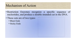 Mechanism of Action
• Restriction Enzymes recognize a specific sequence of
nucleotides, and produce a double stranded cut in the DNA.
• These cuts are of two types:
• Blunt Ends
• Sticky Ends
 