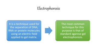 Electrophoresis
It is a technique used for
the separation of DNA,
RNA or protein molecules
using an electric field
applied to gel matrix.
The most common
technique for this
purpose is that of
standard agarose gel
electrophoresis.
 