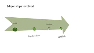 Major steps involved:
 