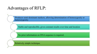 Advantages of RFLP:
Produces semi-dominant markers, allowing determination of homozygosity or
heterozygosity.
Stable and reproducible, gives constant results over time and location
No prior information on DNA sequence is required.
Relatively simple technique.
 