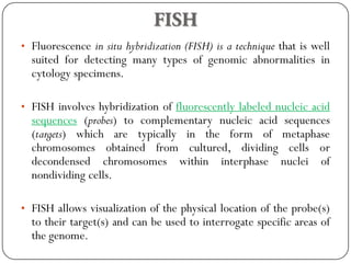 • Fluorescence in situ hybridization (FISH) is a technique that is well
suited for detecting many types of genomic abnormalities in
cytology specimens.
• FISH involves hybridization of fluorescently labeled nucleic acid
sequences (probes) to complementary nucleic acid sequences
(targets) which are typically in the form of metaphase
chromosomes obtained from cultured, dividing cells or
decondensed chromosomes within interphase nuclei of
nondividing cells.
• FISH allows visualization of the physical location of the probe(s)
to their target(s) and can be used to interrogate specific areas of
the genome.
 