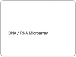 DNA / RNA Microarray
 