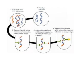 Molecular testing techniques in cytology specimens