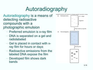 Molecular tools Lecture Note Presentation.ppt