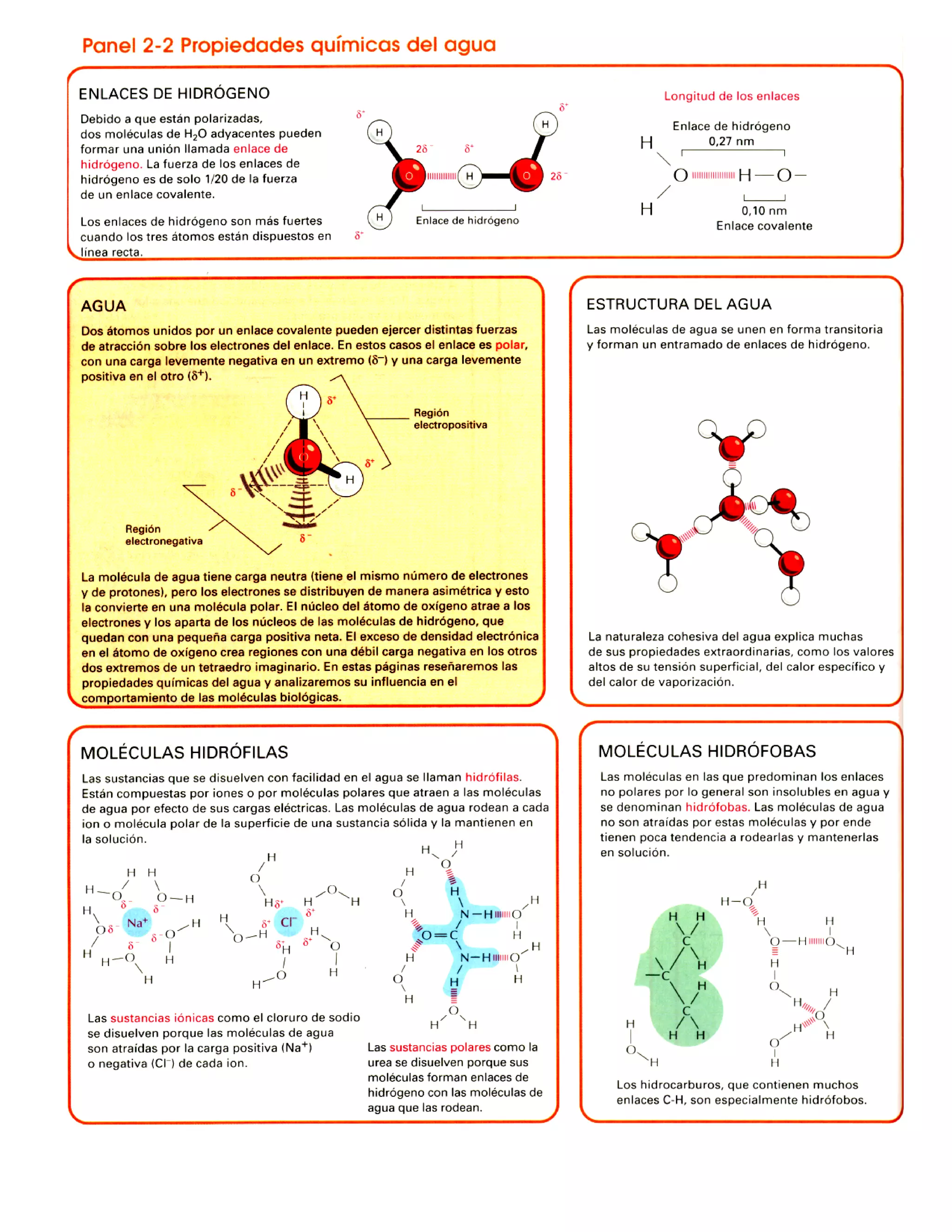 Moleculas | PDF