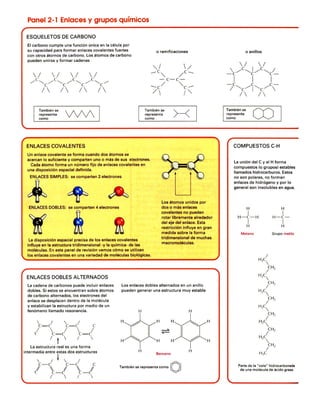 Moleculas