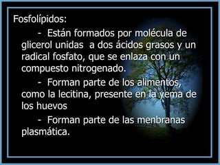 Fosfolípidos:
- Están formados por molécula de
glicerol unidas a dos ácidos grasos y un
radical fosfato, que se enlaza con un
compuesto nitrogenado.
- Forman parte de los alimentos,
como la lecitina, presente en la yema de
los huevos
- Forman parte de las menbranas
plasmática.
 