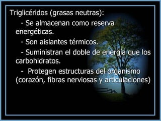 Triglicéridos (grasas neutras):
- Se almacenan como reserva
energéticas.
- Son aislantes térmicos.
- Suministran el doble de energía que los
carbohidratos.
- Protegen estructuras del organismo
(corazón, fibras nerviosas y articulaciones)
 