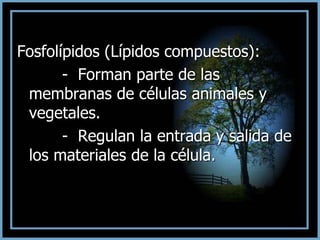 Fosfolípidos (Lípidos compuestos):
- Forman parte de las
membranas de células animales y
vegetales.
- Regulan la entrada y salida de
los materiales de la célula.
 